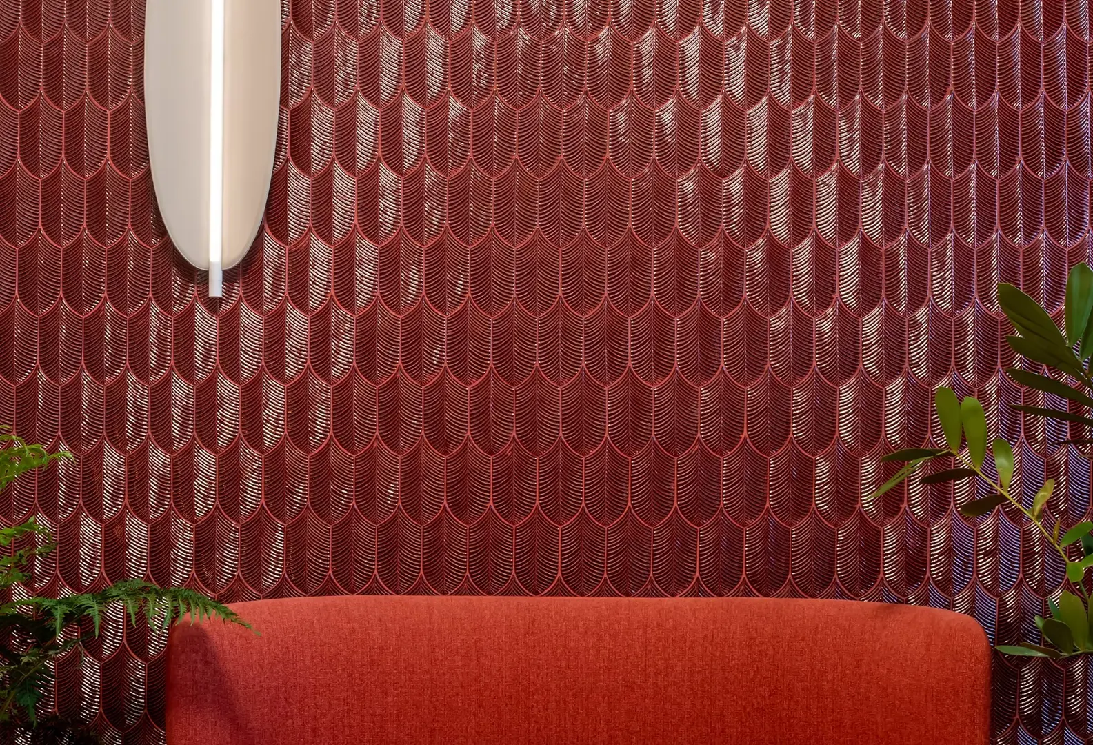 Collezione Calathea