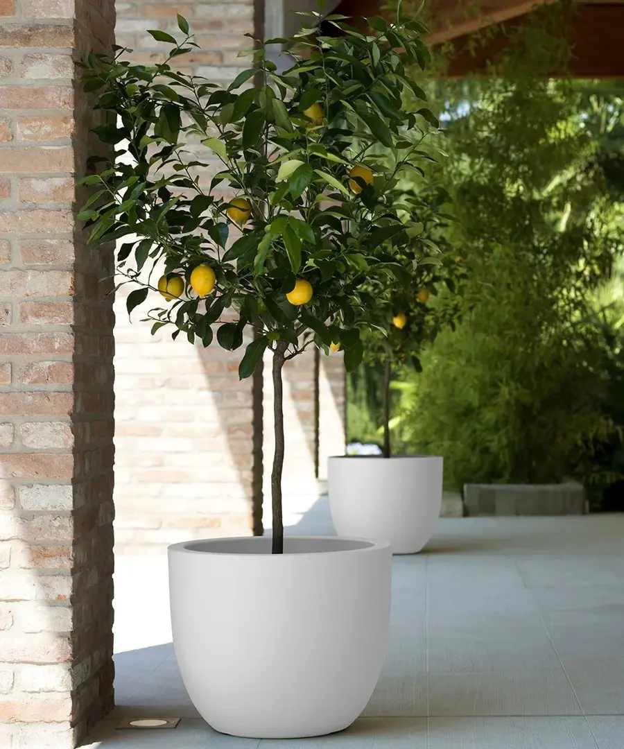 Vaso Etria