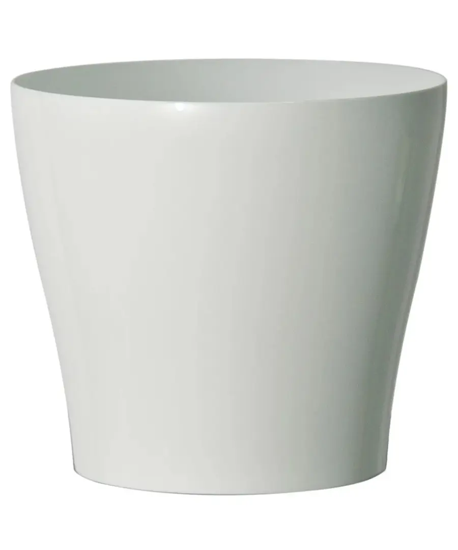 Vaso Synue