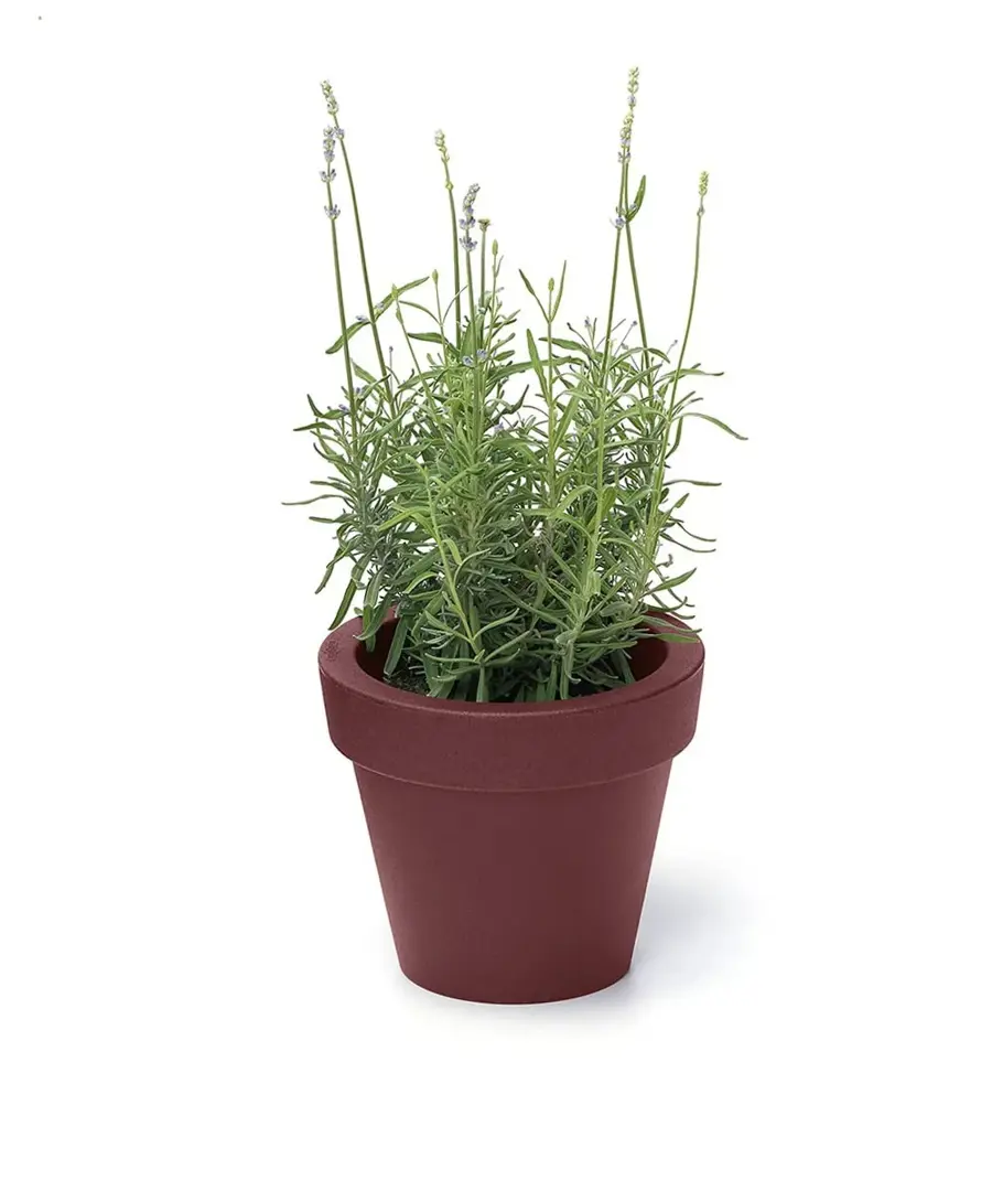 Vaso Simple Materika