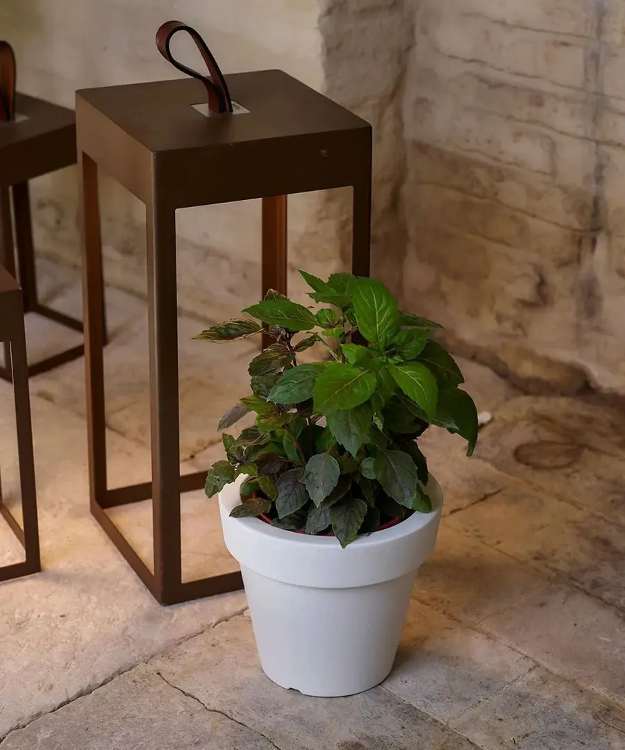 Vaso Ikon Aromatika