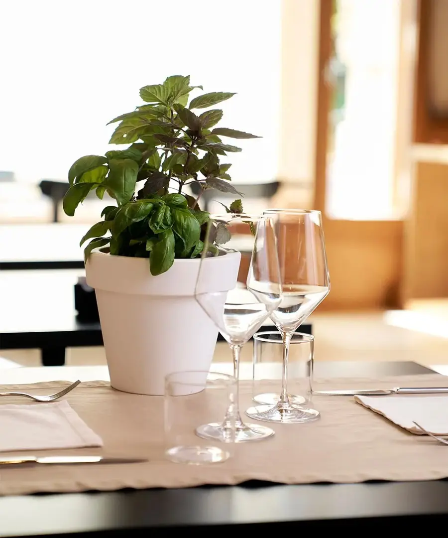 Vaso Ikon Aromatika