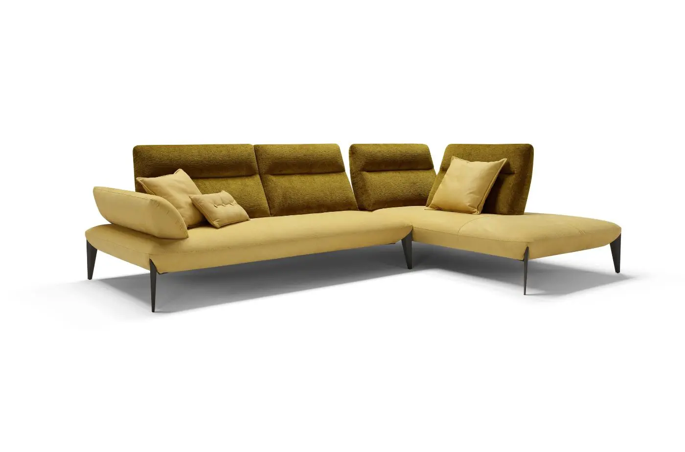 Composizione Caveoso