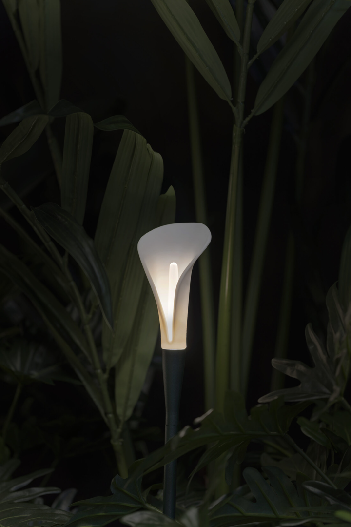 Lampada Bloom
