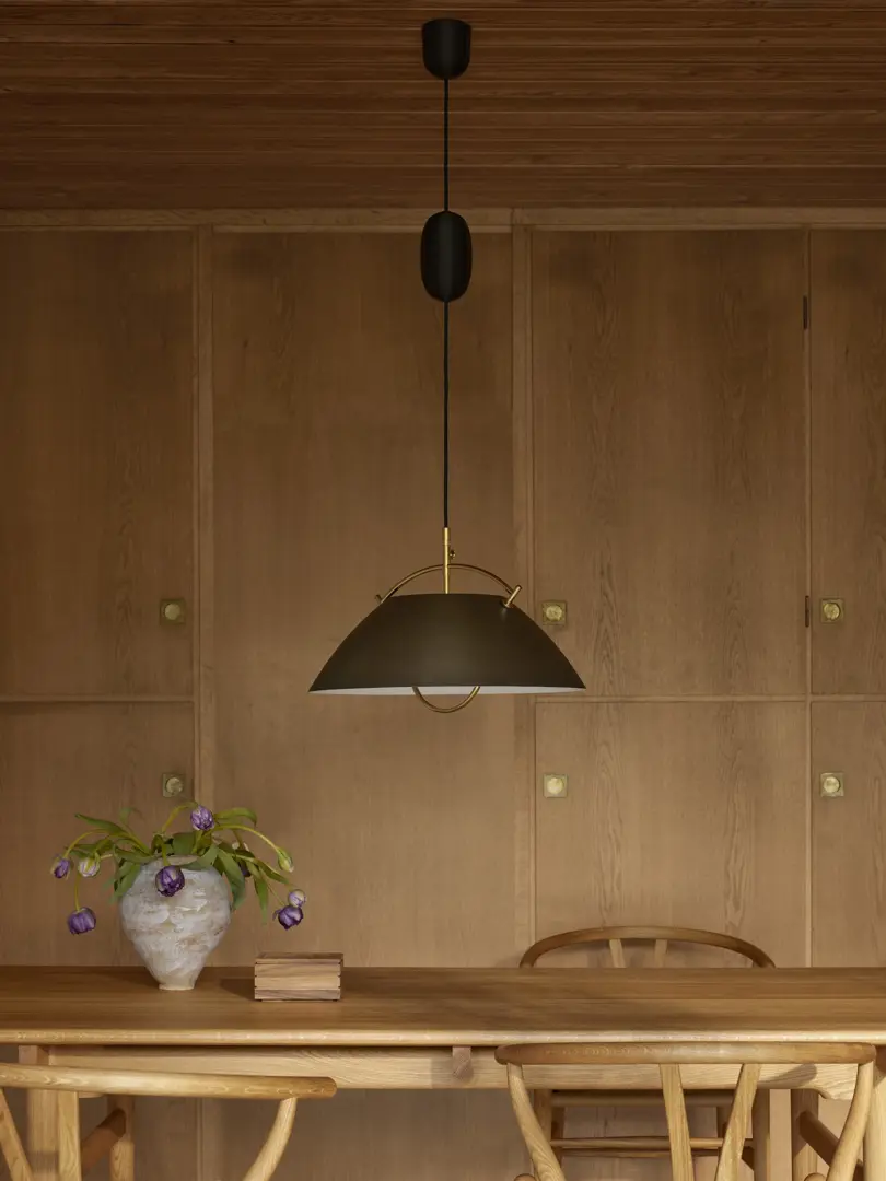 Lampada a sospensione The Pendant