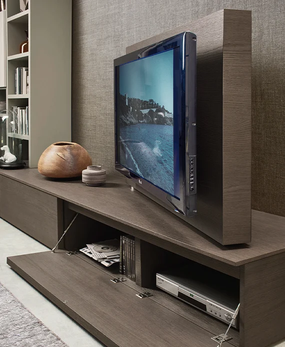 Mobile TV Units Vision