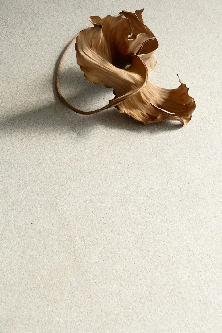 Collezione Scaglie di Storia