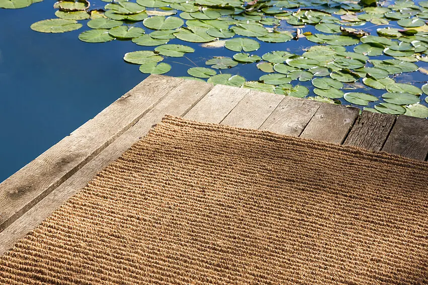 Rug Waikiki