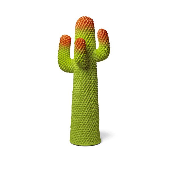 Appendiabiti Cactus